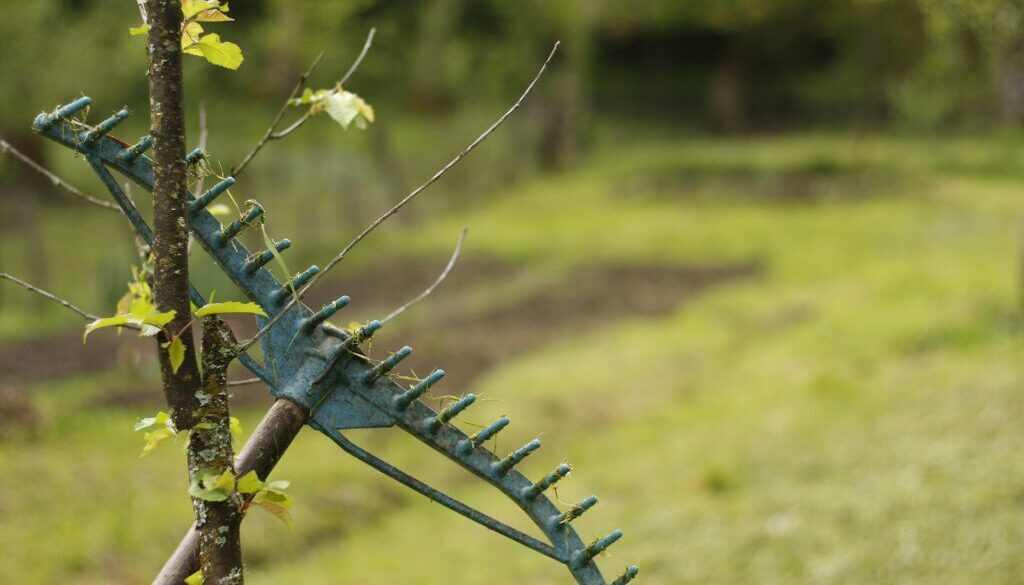 porządki wiosenne w ogrodzie