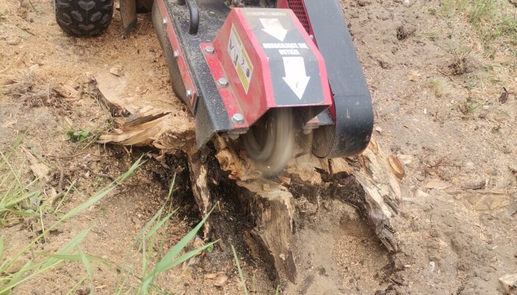 frezowanie pnia drzewa